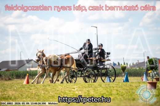 Mintakép 20260509-667