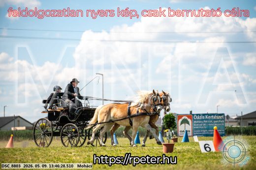Mintakép 20260509-668