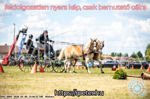 Mintakép 20260509-669