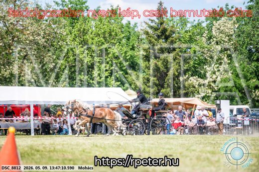 Mintakép 20260509-672