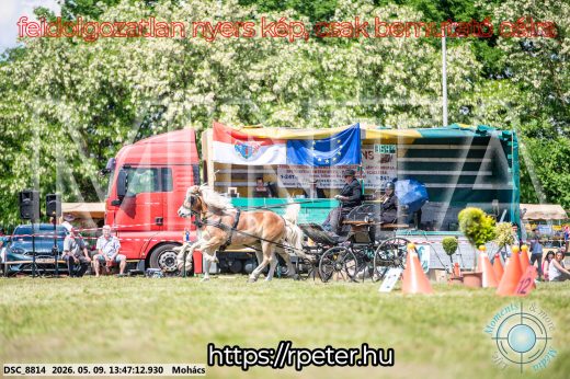 Mintakép 20260509-673