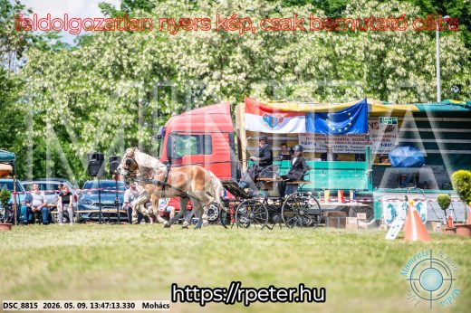 Mintakép 20260509-674