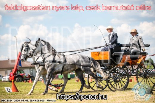 Mintakép 20260509-677