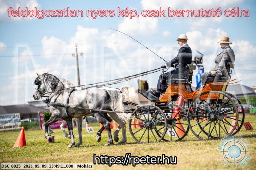 Mintakép 20260509-678