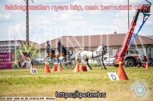 Mintakép 20260509-685