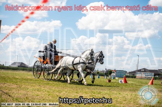 Mintakép 20260509-687