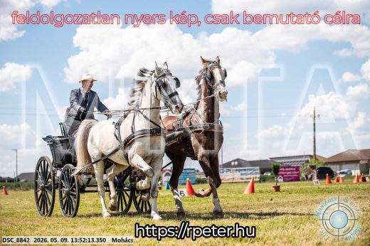 Mintakép 20260509-691