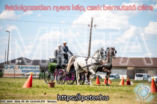 Mintakép 20260509-692