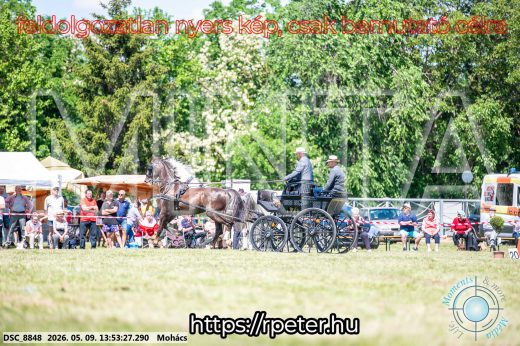 Mintakép 20260509-695