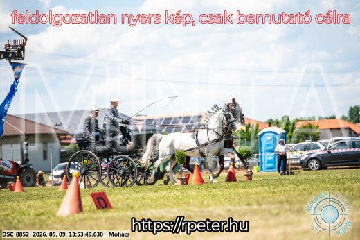 Mintakép 20260509-698