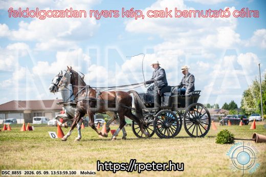 Mintakép 20260509-701