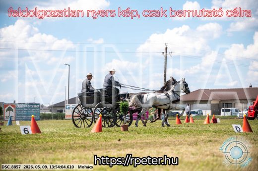 Mintakép 20260509-703