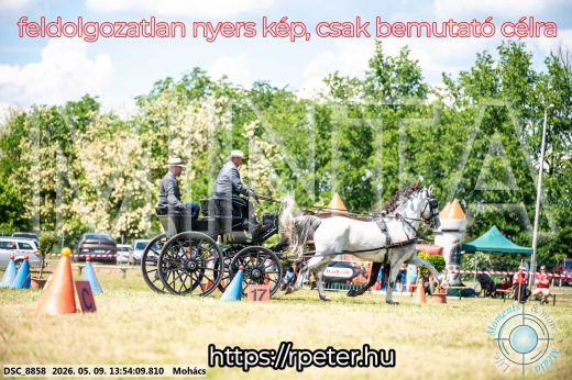 Mintakép 20260509-704