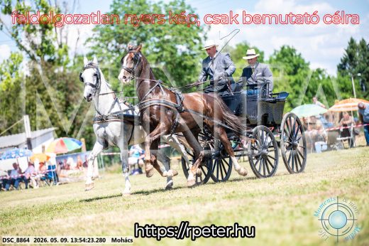 Mintakép 20260509-708