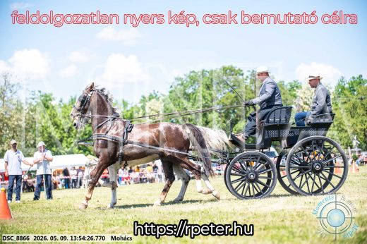 Mintakép 20260509-710