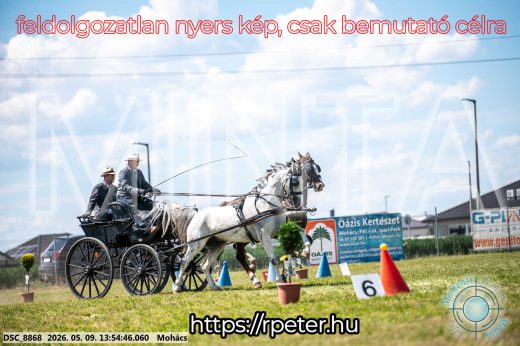 Mintakép 20260509-711