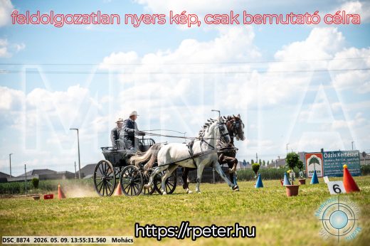 Mintakép 20260509-714