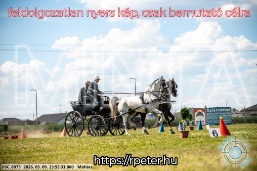 Mintakép 20260509-715