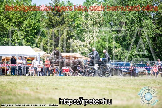 Mintakép 20260509-717