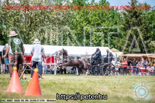 Mintakép 20260509-718