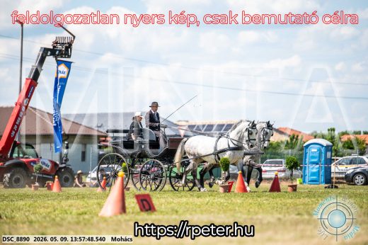 Mintakép 20260509-722
