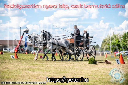 Mintakép 20260509-723