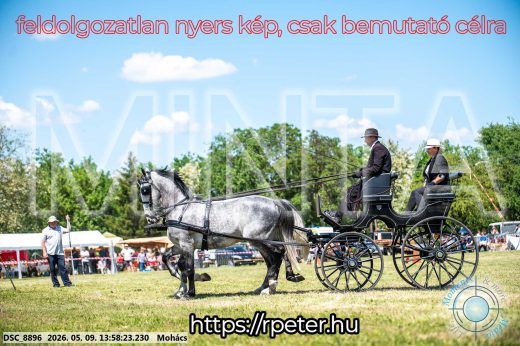 Mintakép 20260509-725