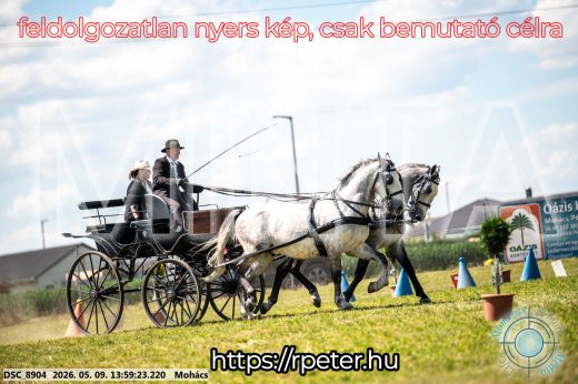 Mintakép 20260509-730