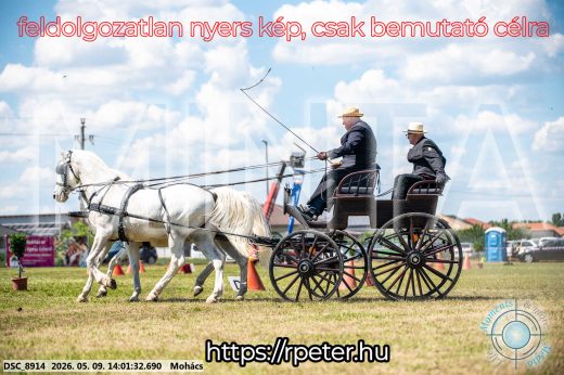 Mintakép 20260509-732