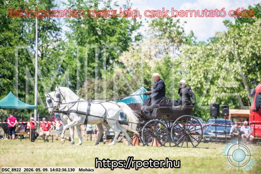 Mintakép 20260509-739