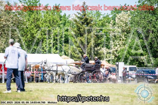 Mintakép 20260509-742