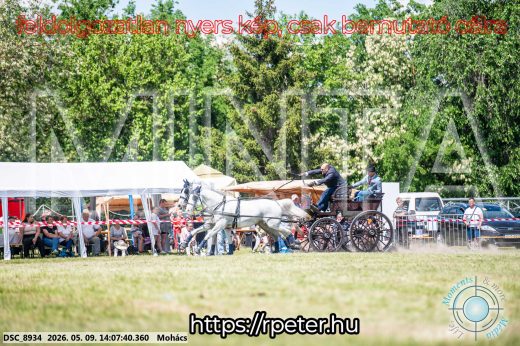 Mintakép 20260509-746