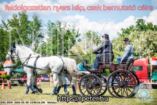 Mintakép 20260509-749