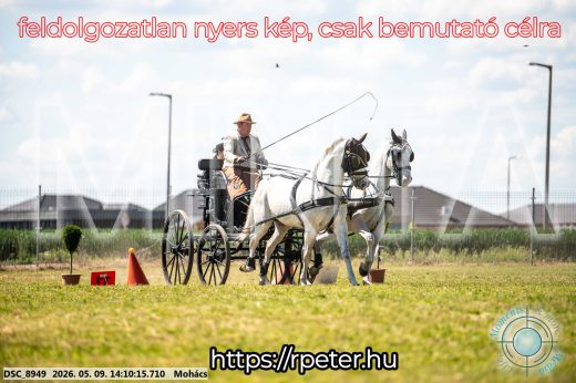 Mintakép 20260509-753