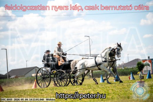 Mintakép 20260509-758