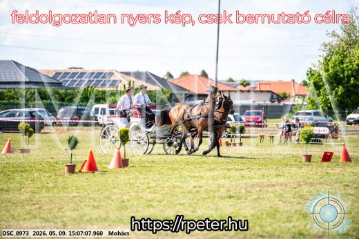 Mintakép 20260509-763