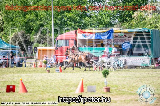 Mintakép 20260509-766
