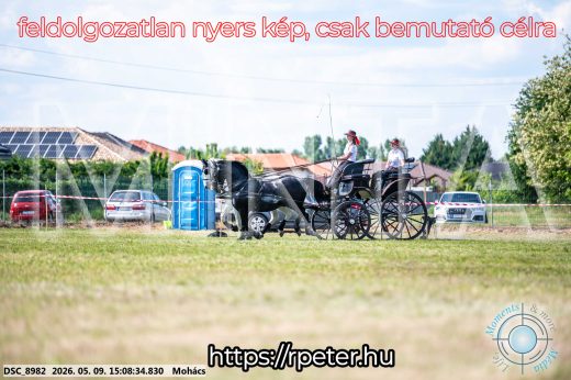 Mintakép 20260509-770