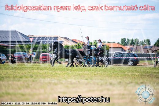 Mintakép 20260509-771