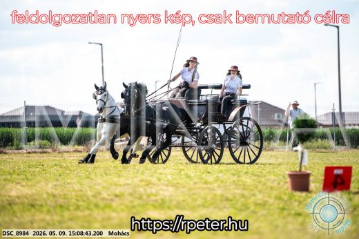 Mintakép 20260509-772
