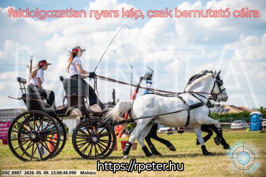 Mintakép 20260509-775