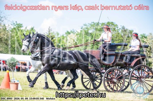 Mintakép 20260509-781