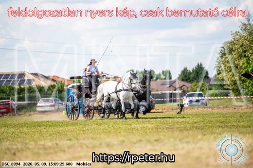 Mintakép 20260509-782
