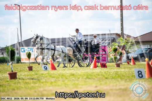 Mintakép 20260509-790