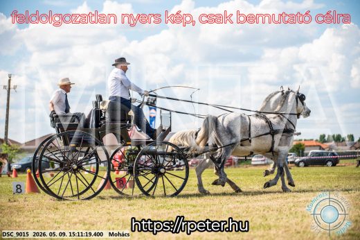 Mintakép 20260509-793