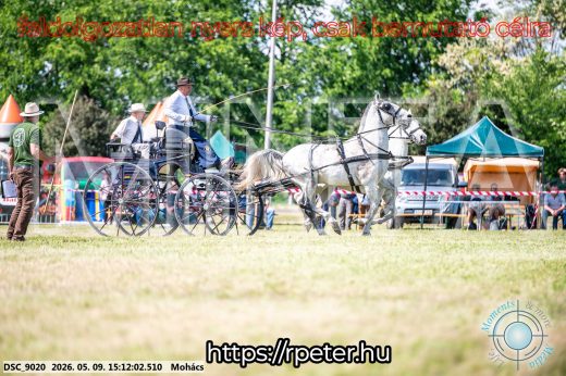 Mintakép 20260509-797