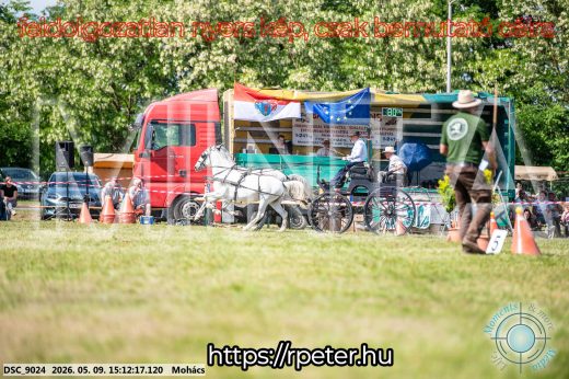 Mintakép 20260509-799