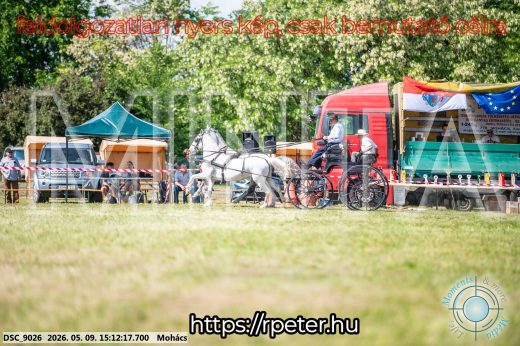 Mintakép 20260509-800
