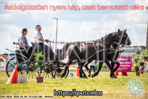 Mintakép 20260509-801