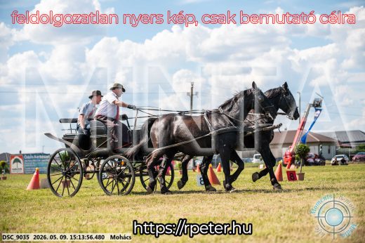 Mintakép 20260509-807